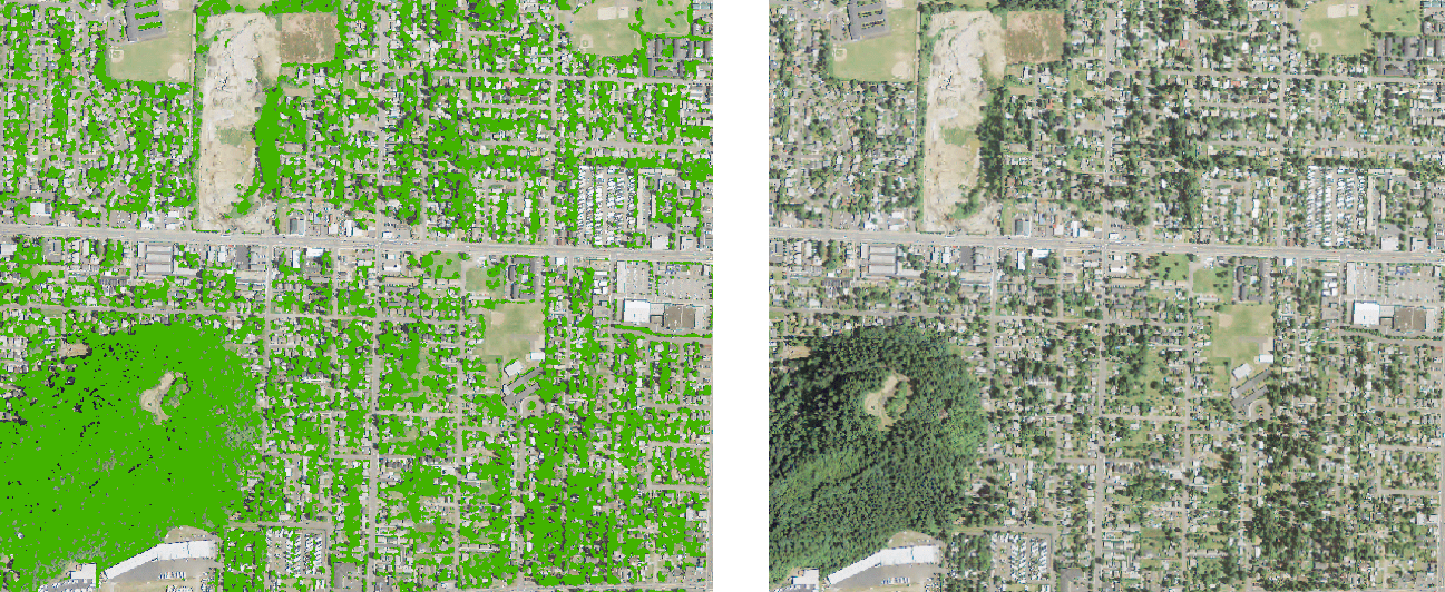 The output canopy layer overlaid on the original image (left) and the original image (right) for comparison. The classification lines up nicely with the canopy, although it does tend to overestimate crown boundaries in certain places. It also still suffers from some difficulties distinguishing shadows.